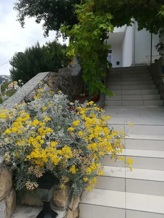 Apartmani Ivic Paka Rab Banjol Croatia